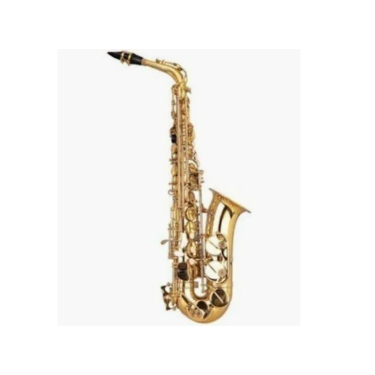Premier Eb Alto Saxophone Rich Tone Wind Instrument for Students & Jazz Players