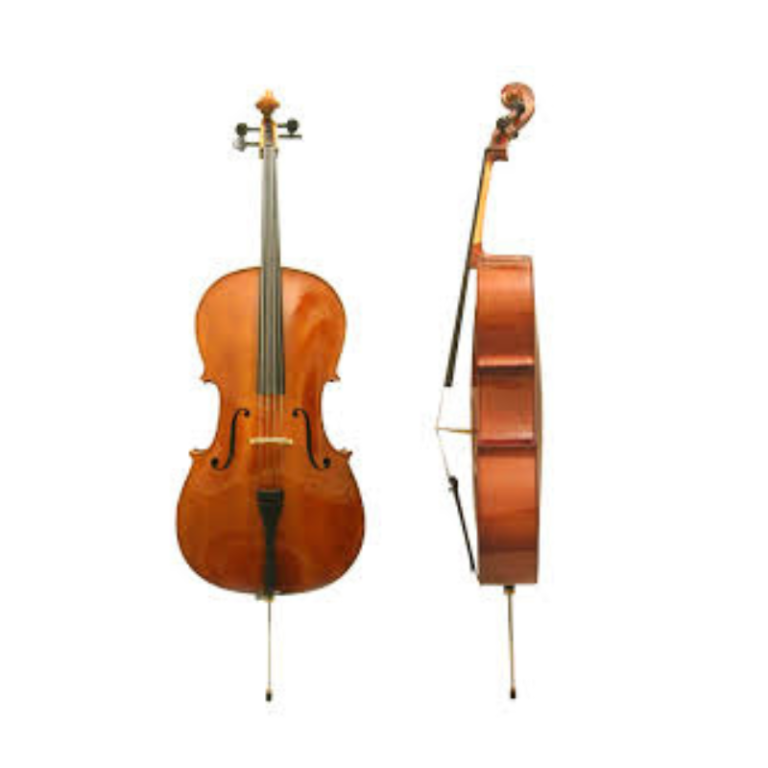 Student Full-Size Cello Solid Spruce & Maple Cello with Bow and Bag