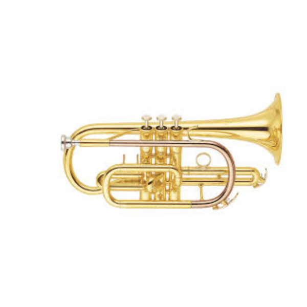 Bb Cornet Brass Instrument for Beginners, Brass Bands & Ensemble Performance