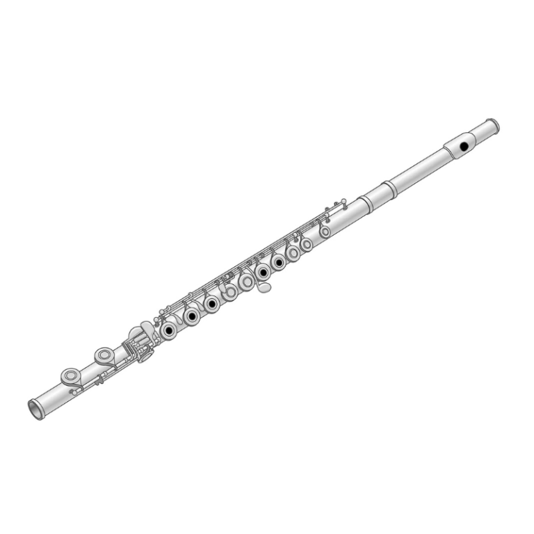 Concert Flute C Flute for Orchestra, Band & Classical Performance