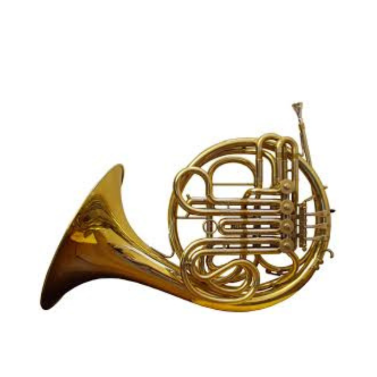 French Horn Double F/Bb French Horn for Orchestra & Wind Band Performance