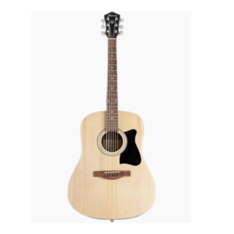 Ibanez Acoustic 40 Inch Guitar Dreadnought Acoustic Guitar for Students & Players