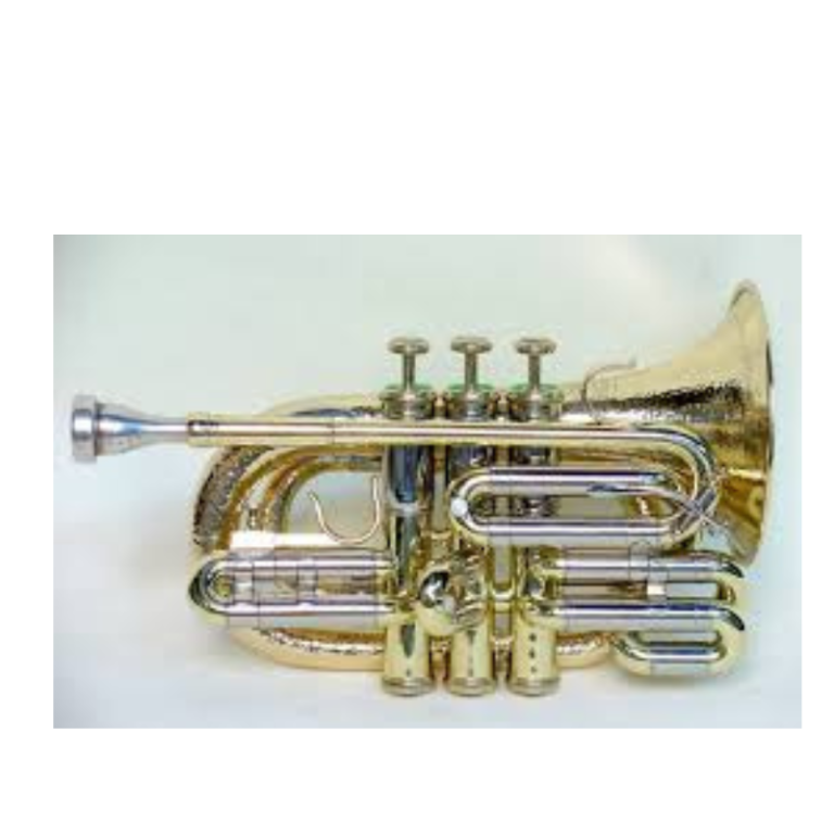 Pocket Cornet Compact Bb Brass Instrument with Case & Mouthpiece