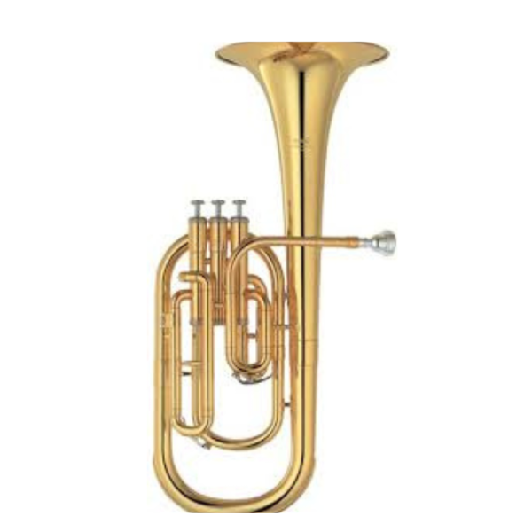Tenor Horn Eb Alto Horn for Brass Bands & Concert Ensembles
